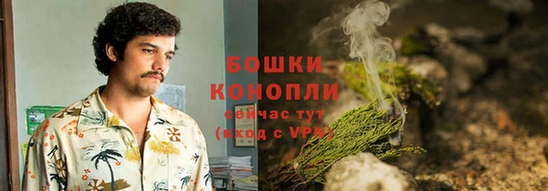 ГАЛЛЮЦИНОГЕННЫЕ ГРИБЫ Алексин