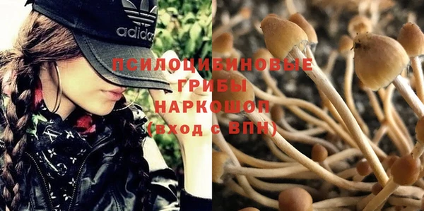 молекула духа Козловка