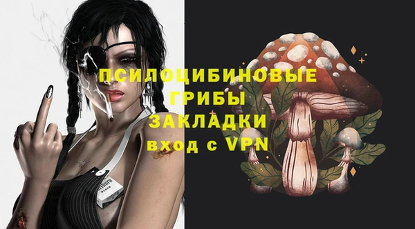 шишки Абдулино
