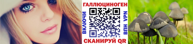 ссылка на мегу маркетплейс  Мегион  Галлюциногенные грибы мицелий 