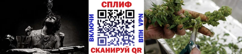 Каннабис семена  продажа наркотиков  Мегион 